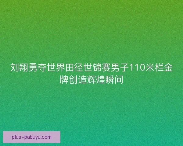 刘翔勇夺世界田径世锦赛男子110米栏金牌创造辉煌瞬间